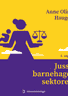Bokomslag: Juss i barnehagesektoren