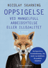 Bokomslag: Oppsigelse ved mangelfull arbeidsytelse eller illojalitet